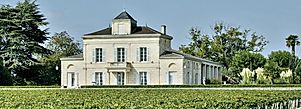 chateau MONTROSE.jpg
